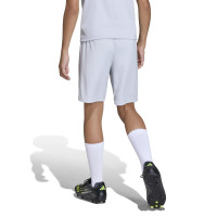 adidas Entrada 26 Voetbalbroekje Kids Grijs Wit