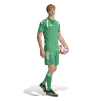 adidas Tiro 26 League Voetbalbroekje Groen Wit