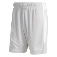 adidas Tiro 26 League Voetbaltenue Grijs Wit