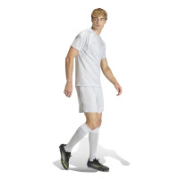 adidas Tiro 26 League Voetbalbroekje Grijs Wit