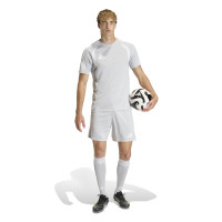 adidas Tiro 26 League Voetbalbroekje Grijs Wit