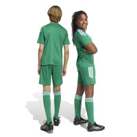 Shorts de football adidas Tiro 26 League pour Enfants, vert et blanc