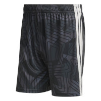 adidas Tiro 26 Competition Keeperstenue Korte Mouwen Zwart