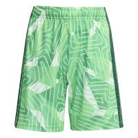 Pantalon de gardien de but adidas Tiro 26 Competition pour Enfants, vert clair