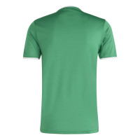 Kit de football adidas Entrada 26 vert et blanc