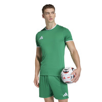 Kit de football adidas Entrada 26 vert et blanc