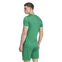 adidas Entrada 26 Voetbalshirt Groen Wit