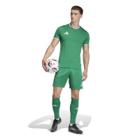 adidas Entrada 26 Voetbalshirt Groen Wit