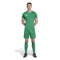 adidas Entrada 26 Voetbalshirt Groen Wit