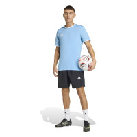 adidas Entrada 26 Voetbalshirt Lichtblauw Wit