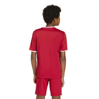 adidas Entrada 26 Voetbalshirt Kids Rood Wit