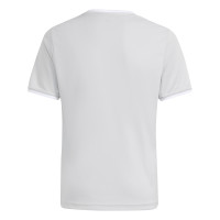 Kit de football adidas Entrada 26 pour Enfants, gris et blanc