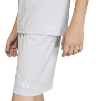 adidas Entrada 26 Voetbalshirt Kids Grijs Wit