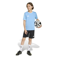 adidas Entrada 26 Voetbalshirt Kids Lichtblauw Wit