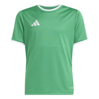 Kit de football adidas Entrada 26 pour Enfants, vert et blanc