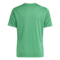 adidas Entrada 26 Voetbalshirt Kids Groen Wit