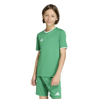 Kit de football adidas Entrada 26 pour Enfants, vert et blanc