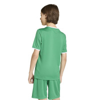 adidas Entrada 26 Voetbalshirt Kids Groen Wit