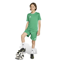 Kit de football adidas Entrada 26 pour Enfants, vert et blanc