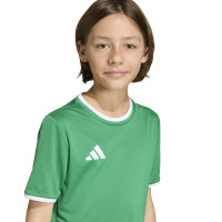 adidas Entrada 26 Voetbalshirt Kids Groen Wit