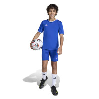 adidas Entrada 26 Voetbalshirt Kids Blauw Wit