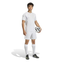 adidas Tiro 26 League Voetbaltenue Grijs Wit