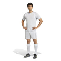 adidas Tiro 26 League Voetbaltenue Grijs Wit