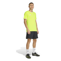 adidas Entrada 26 Voetbalshirt Felgeel Wit