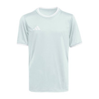 adidas Entrada 26 Voetbalshirt Kids Mintgroen Wit