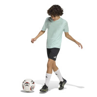 adidas Entrada 26 Voetbalshirt Kids Mintgroen Wit