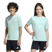 adidas Entrada 26 Voetbalshirt Kids Mintgroen Wit