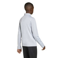 adidas Entrada 26 Trainingstrui Kids Grijs Wit