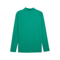 PUMA teamFINAL26 Trainingstrui 1/4-Zip Groen