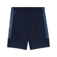 Pantalon d'entraînement PUMA TeamLiga26 bleu foncé