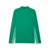 Veste d'entraînement PUMA TeamLiga26 verte
