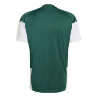 adidas Italië Trainingsset 2026-2028 Groen Wit Goud