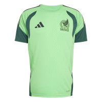 adidas Mexique Maillot d'Entraînement 2026-2028 Vert Clair Noir Vert
