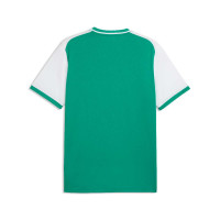 Maillot de football PUMA TeamLiga26 Matchday vert blanc