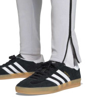 Pantalon de jogging adidas Tiro Travel gris