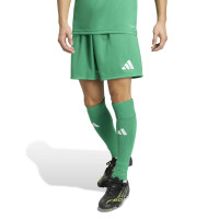 Kit de football adidas Entrada 26 vert et blanc