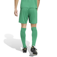 Kit de football adidas Entrada 26 vert et blanc