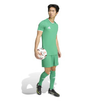 Kit de football adidas Entrada 26 vert et blanc