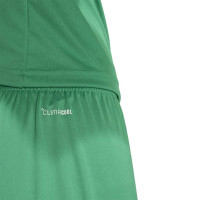 Kit de football adidas Entrada 26 vert et blanc