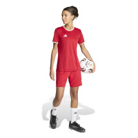 adidas Entrada 26 Voetbaltenue Dames Rood Wit