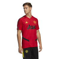 adidas Manchester United Trainingsshirt 2019-2020 Rood Grijs