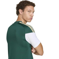 adidas Italië Trainingsshirt 2026-2028 Groen Wit Goud
