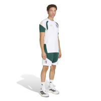 adidas Italië Trainingsshirt 2026-2028 Wit Groen Goud