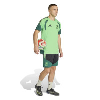 adidas Mexique Maillot d'Entraînement 2026-2028 Vert Clair Noir Vert