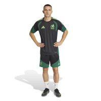 adidas Mexique Maillot d'Entraînement 2026-2028 Noir Vert Clair Vert