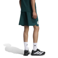 adidas Mexique Tiro Travel Ensemble Training 2026-2028 Vert Blanc